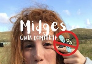mosquitos escoceses midges
