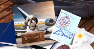 que se necesita para volar con tu perro en cabina